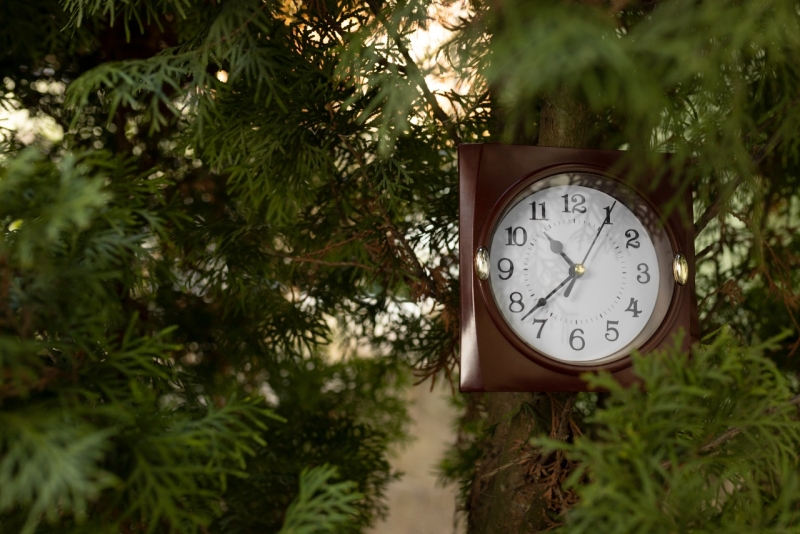 График работы в ноябрьские праздники