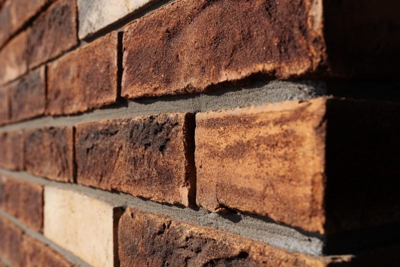 5 фактов, которые не знали про Оперу резиденс! Видеообзор