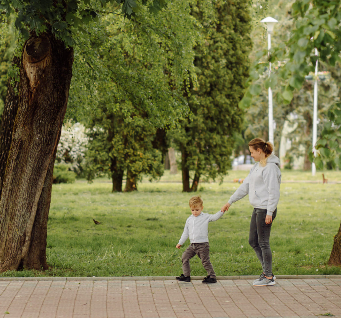 Развитая инфраструктура