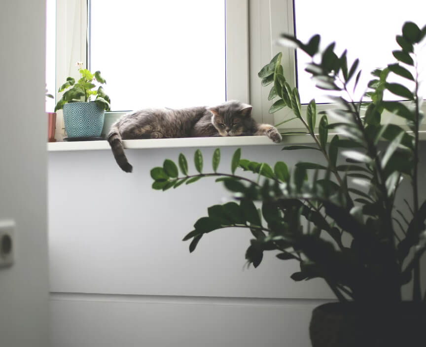 В окружении комфорта